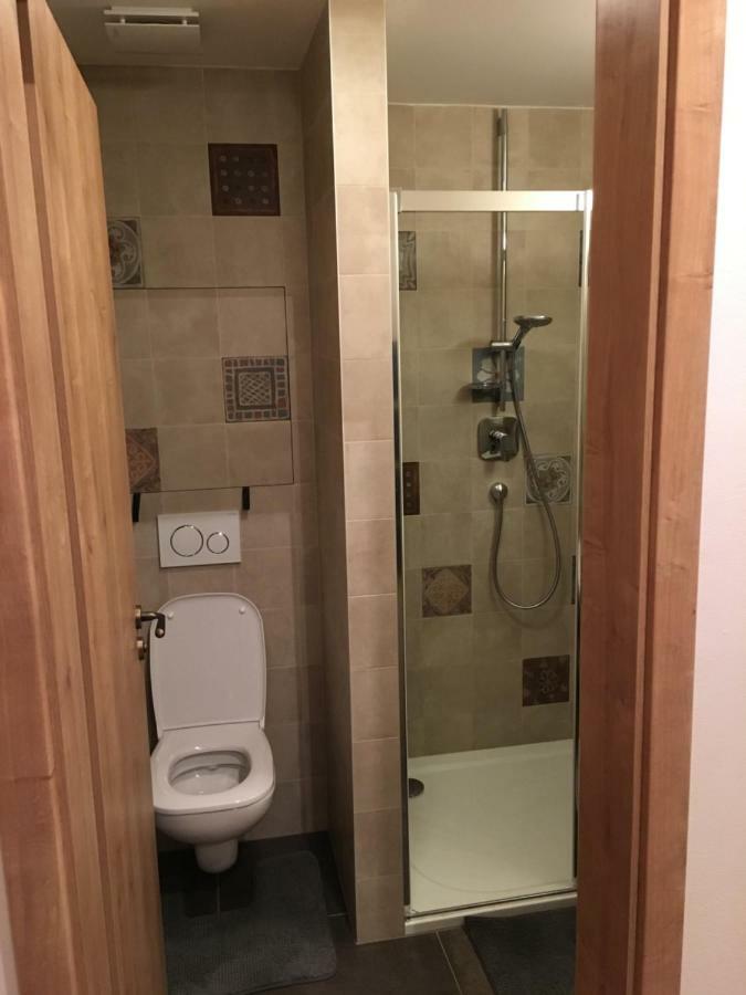 Apartman U Svahu Dolni Morava Exterior photo