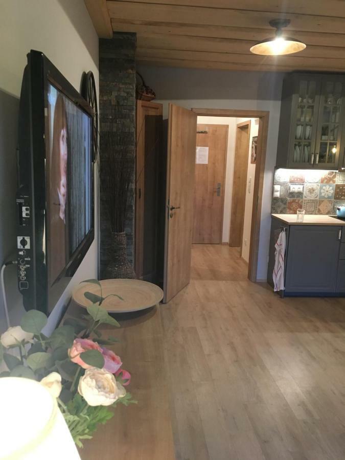 Apartman U Svahu Dolni Morava Exterior photo
